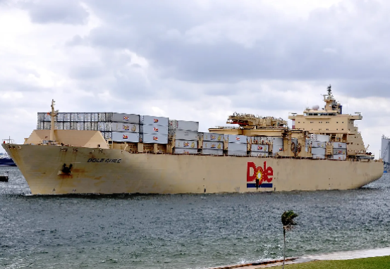 Dole-Chile-1