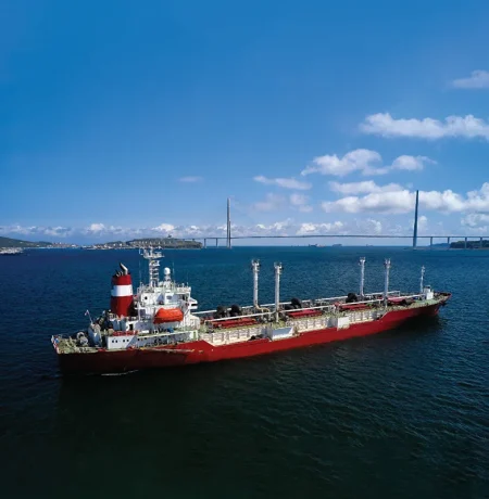 Far East Reefer Vessels